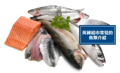 英国超市常见的鱼类