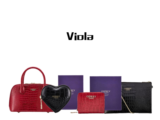 Viola