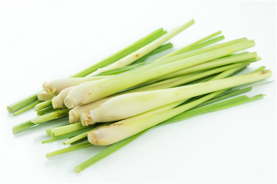 lemongrass1