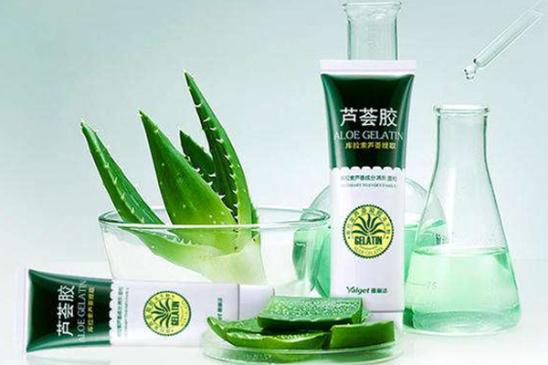 纯天然芦荟胶排行榜