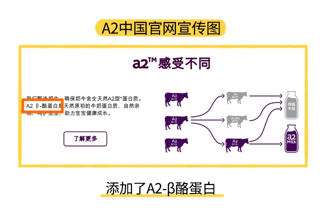 A2官网宣传图 A2官网宣传图