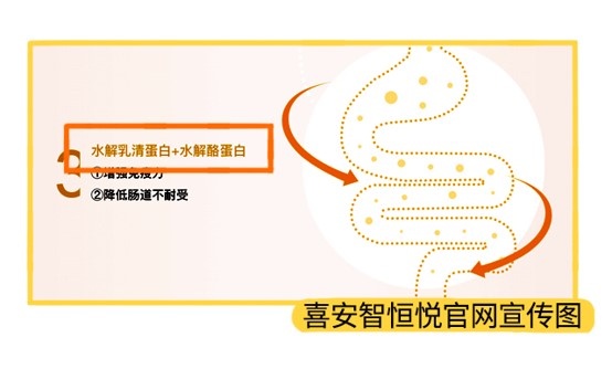 喜安智天猫旗舰店宣传图