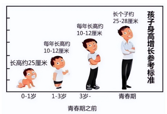 影响宝宝身高的因素有哪些？热门儿童长高奶粉解析