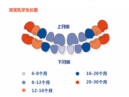 宝宝多大开始刷牙？宝宝牙刷牙膏如何选购？