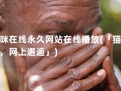 猫咪在线永久网站在线播放(「猫与人，网上邂逅」)