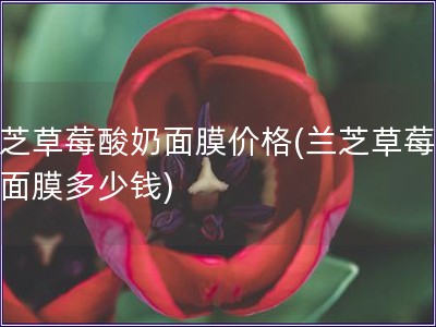 兰芝草莓酸奶面膜价格(兰芝草莓酸奶面膜多少钱)