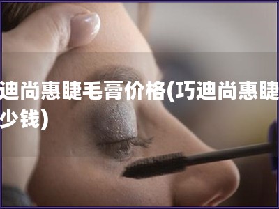 巧迪尚惠睫毛膏价格(巧迪尚惠睫膏多少钱)