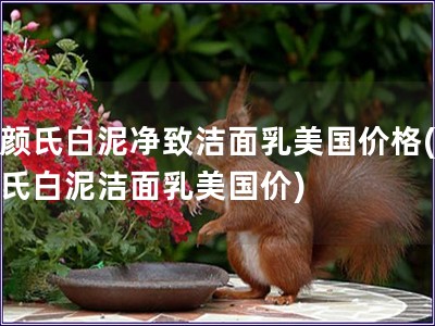 科颜氏白泥净致洁面乳美国价格(科颜氏白泥洁面乳美国价)