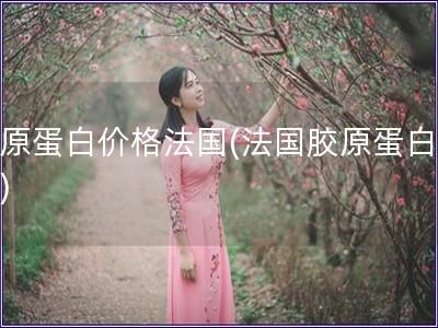 胶原蛋白价格法国(法国胶原蛋白价格)