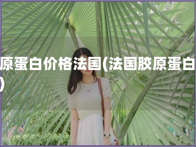 胶原蛋白价格法国(法国胶原蛋白价格)