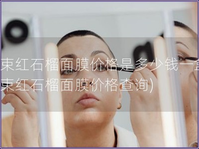 韩束红石榴面膜价格是多少钱一盒(韩束红石榴面膜价格查